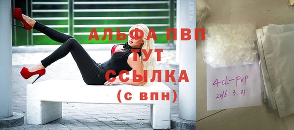 СК Волосово