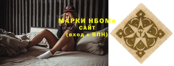 хмурый Козловка