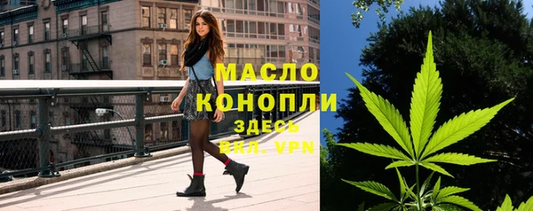 дживик Верхний Тагил