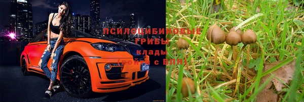 дживик Верхний Тагил