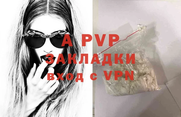 дживик Верхний Тагил